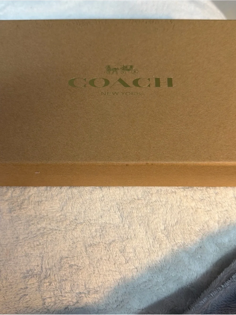 Coach Leather Zip Wallet in Cognac Brown with Gold Logo #58586